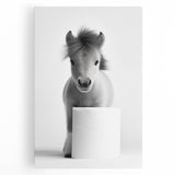 Adorable Pony Bathroom Wall Art - Modern Black and White Decor