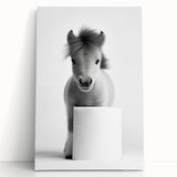 Adorable Pony Bathroom Wall Art - Modern Black and White Decor