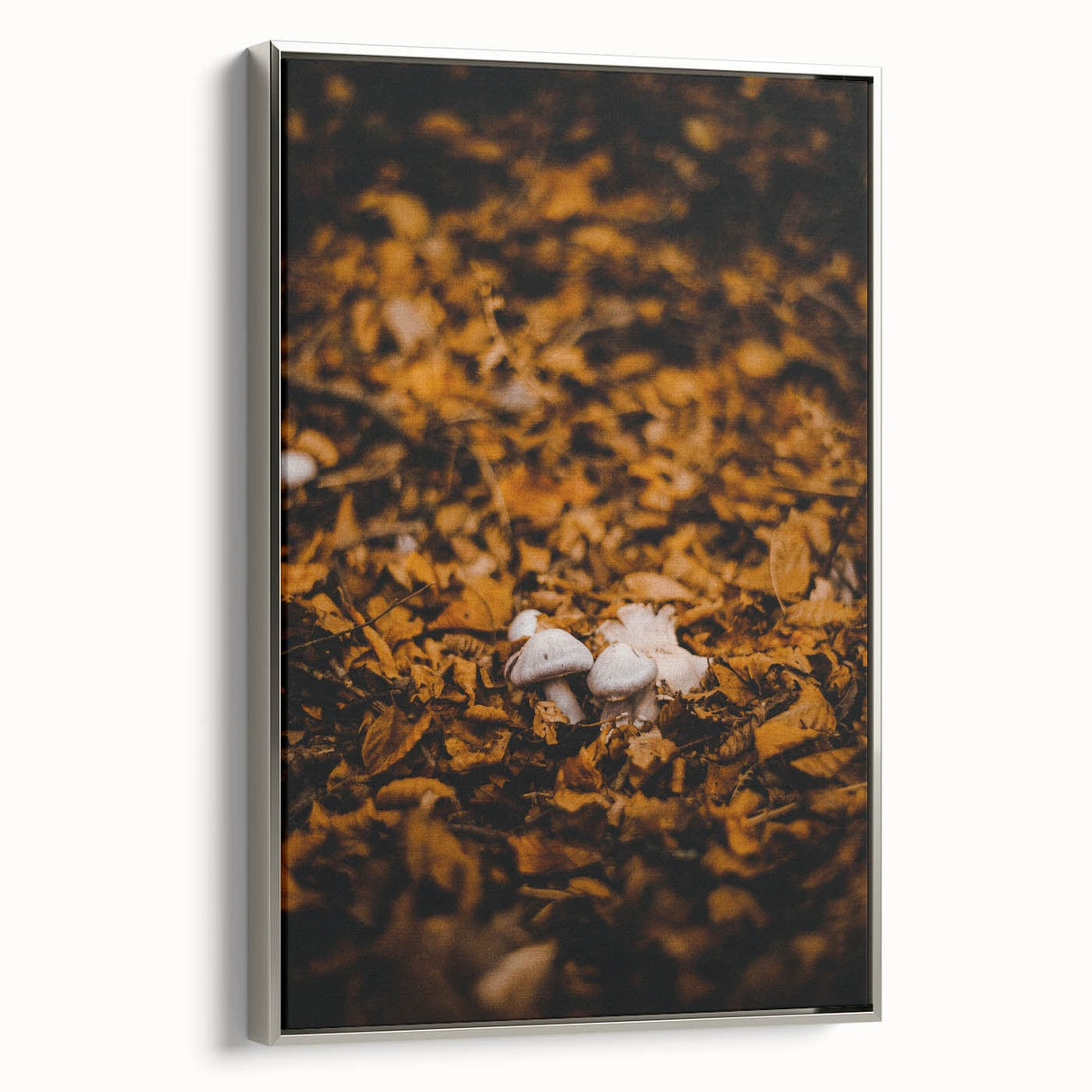 Framed canvas featuring a vintage landscape art painting of fall trees in vibrant autumn colors, ideal for living room decor.