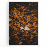 Large black and white canvas print of a tree in autumn, ideal for kitchen wall art.