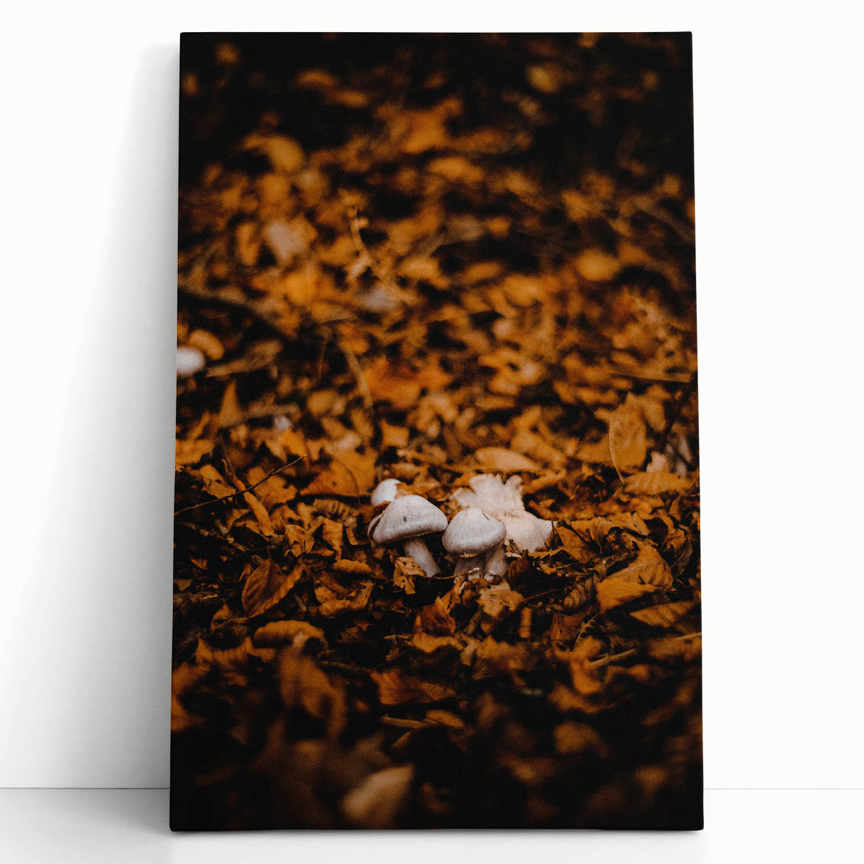 Large black and white stretched canvas featuring an abstract depiction of autumn trees.