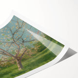 Blooming Orchard" Modern Wall Art - Contemporary Nature Decor