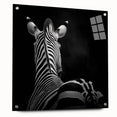 Acrylic glass artwork depicting a side view of various colorful animals, secured with pins, showcasing intricate details and vibrant hues in a modern design.