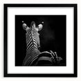 Framed black animal-themed wall art featuring a variety of wildlife silhouettes against a neutral mat, perfect for enhancing home décor with a modern touch.