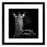Framed black animal-themed wall art featuring a variety of wildlife silhouettes against a neutral mat, perfect for enhancing home décor with a modern touch.
