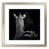 Framed silver animal art print showcasing a detailed illustration of various wildlife, enhanced by a white mat, perfect for home decor and nature enthusiasts.