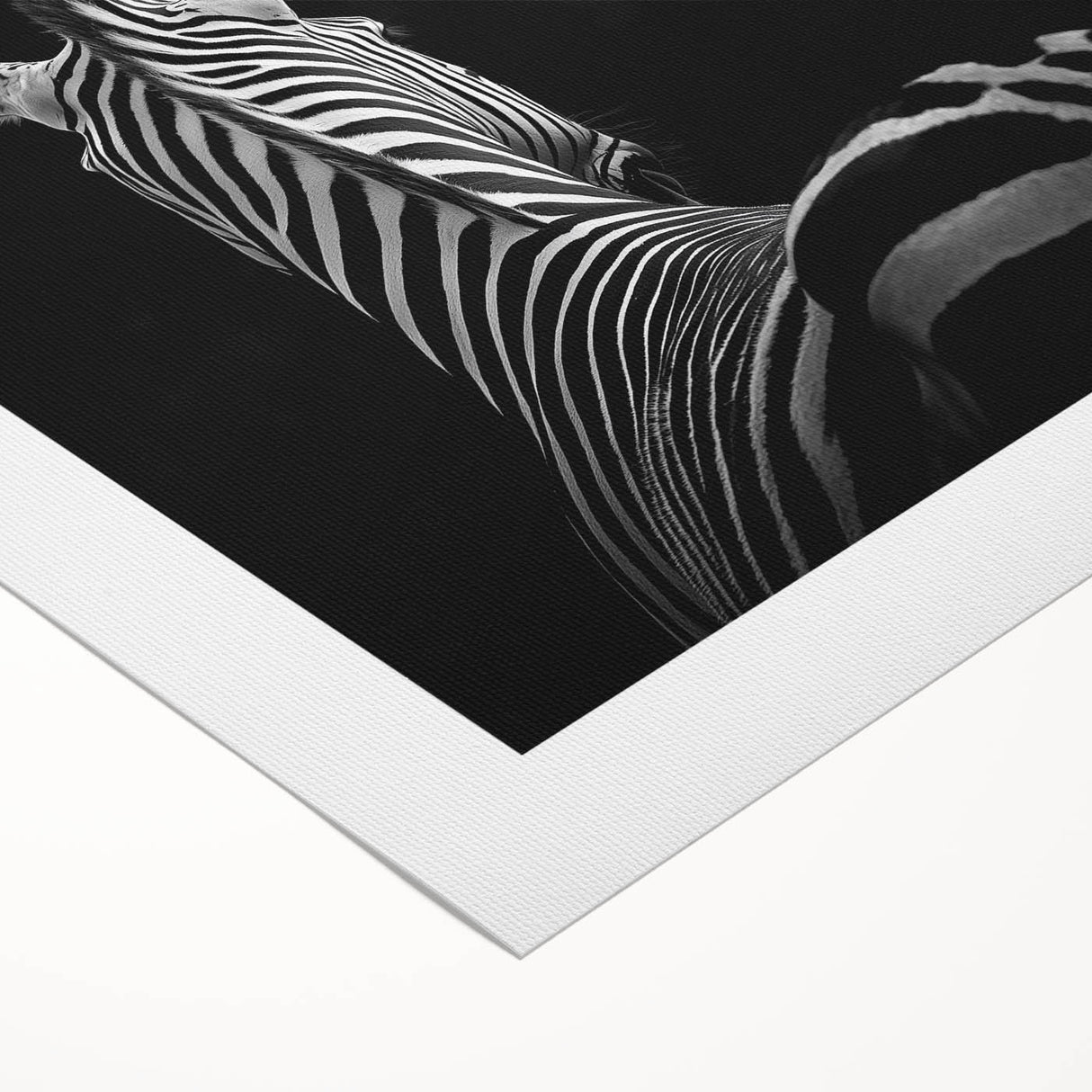 Rolled canvas showcasing vibrant animal illustrations with intricate details, designed for home decor, packaged securely in a protective cardboard tube.