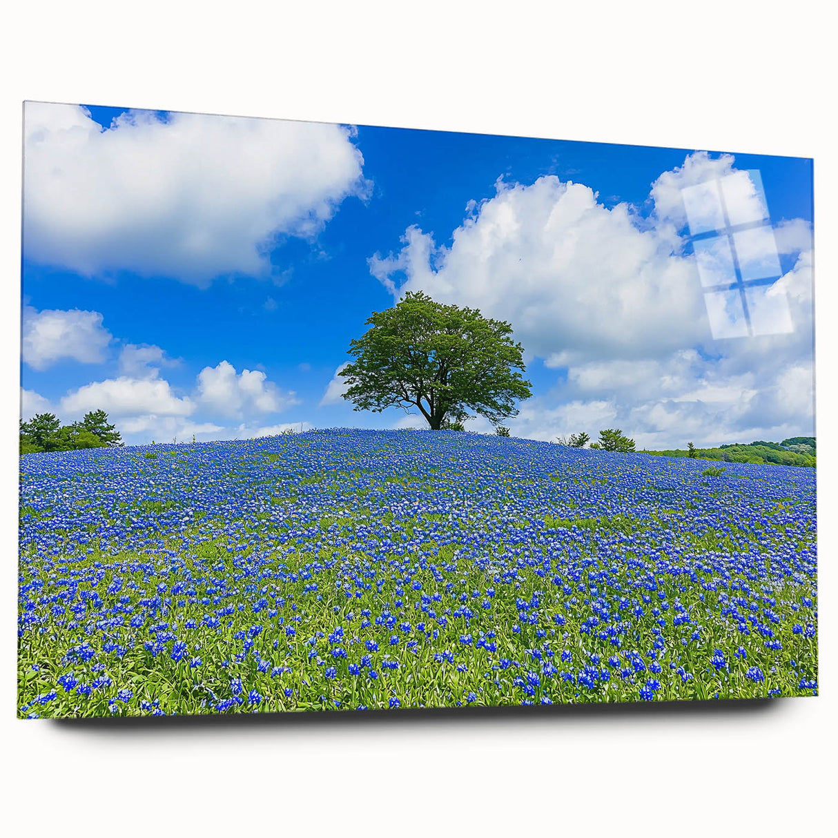 Vibrant acrylic landscape artwork depicting rolling fields under a clear blue sky, elegantly displayed in a glass frame, ideal for modern home decor.