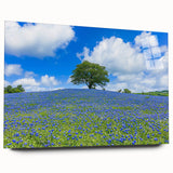 Vibrant acrylic landscape artwork depicting rolling fields under a clear blue sky, elegantly displayed in a glass frame, ideal for modern home decor.