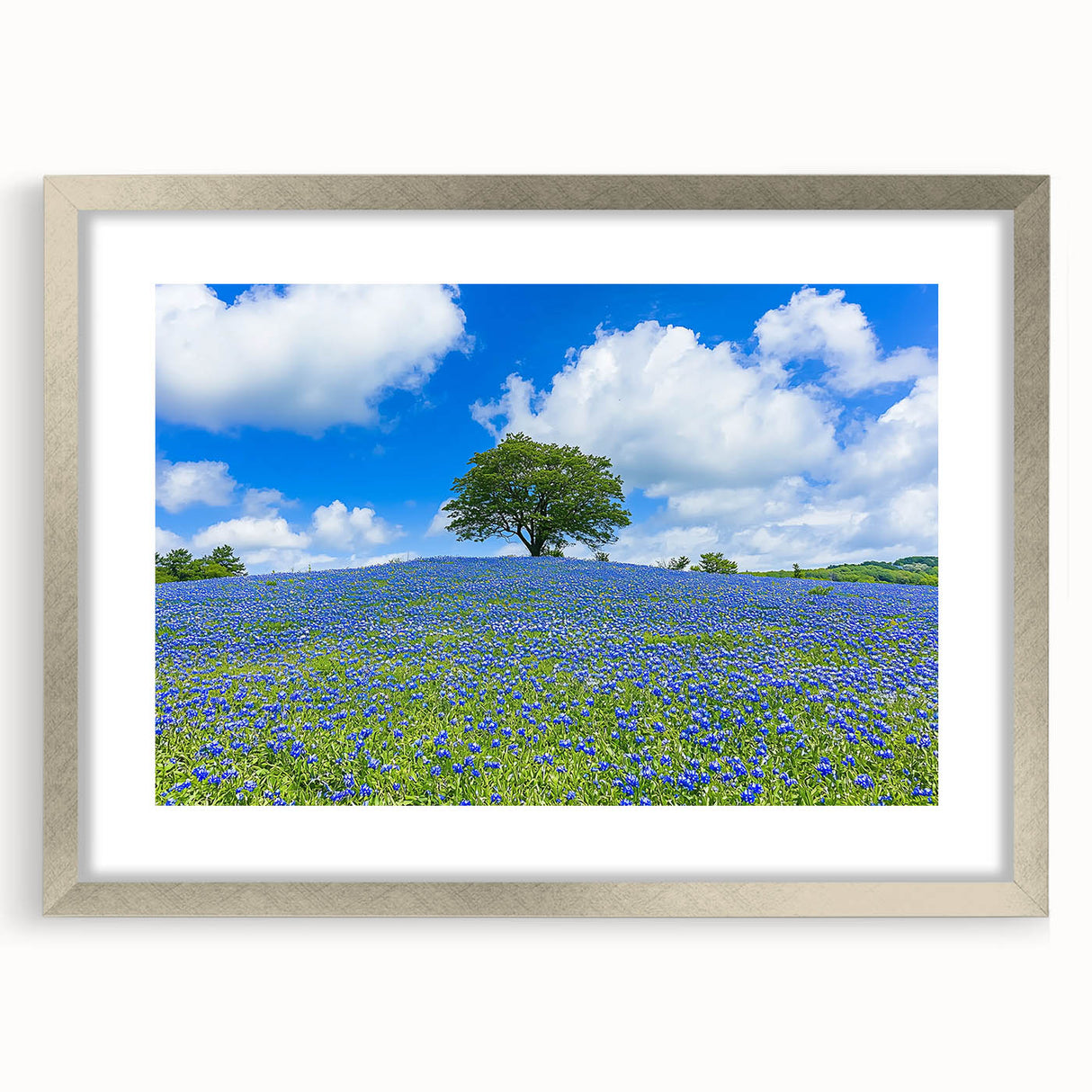 Framed landscape artwork depicting serene fields, featuring a silver mat and elegant frame, ideal for home decor and modern interiors, enhancing aesthetic appeal.