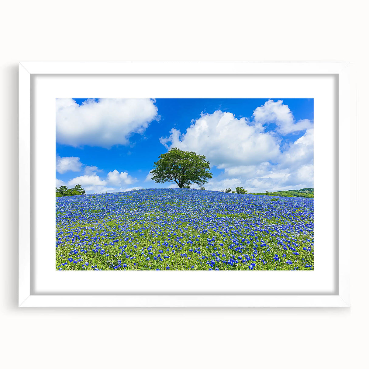 White-framed landscape artwork featuring a serene field scene with vibrant green and yellow hues. The design includes a white mat for an elegant presentation, perfect for home decor.