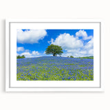 White-framed landscape artwork featuring a serene field scene with vibrant green and yellow hues. The design includes a white mat for an elegant presentation, perfect for home decor.