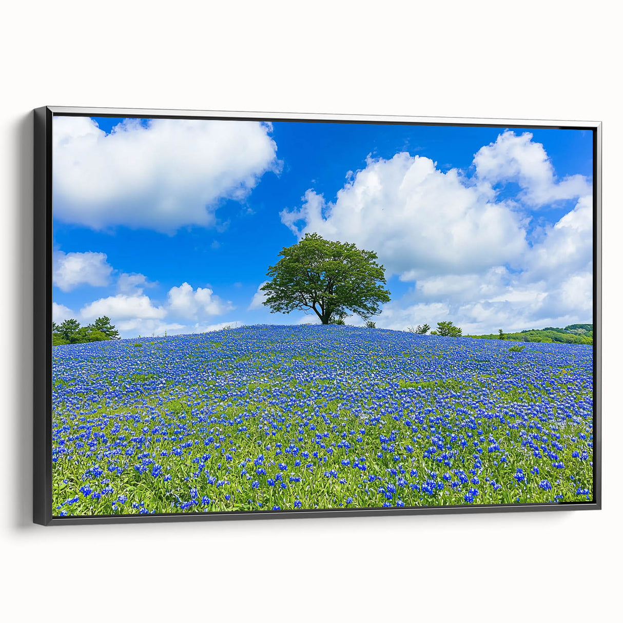 Framed canvas artwork showcasing a serene landscape of lush green fields, bordered with a sleek black frame, ideal for enhancing home decor and adding tranquility to any room.