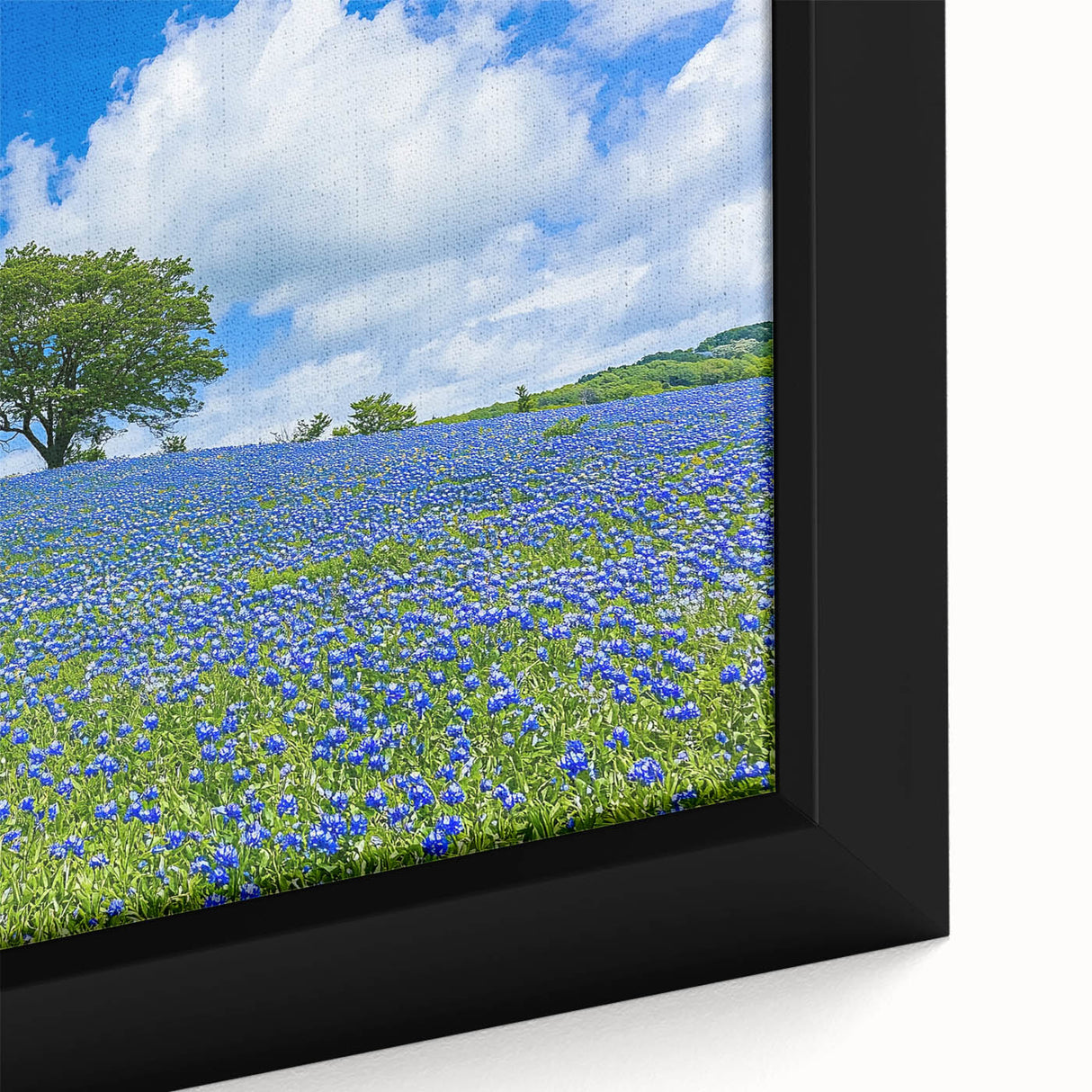 Vibrant close-up of a framed canvas showcasing a serene landscape with lush green fields and a clear blue sky, ideal for home decor or office settings.