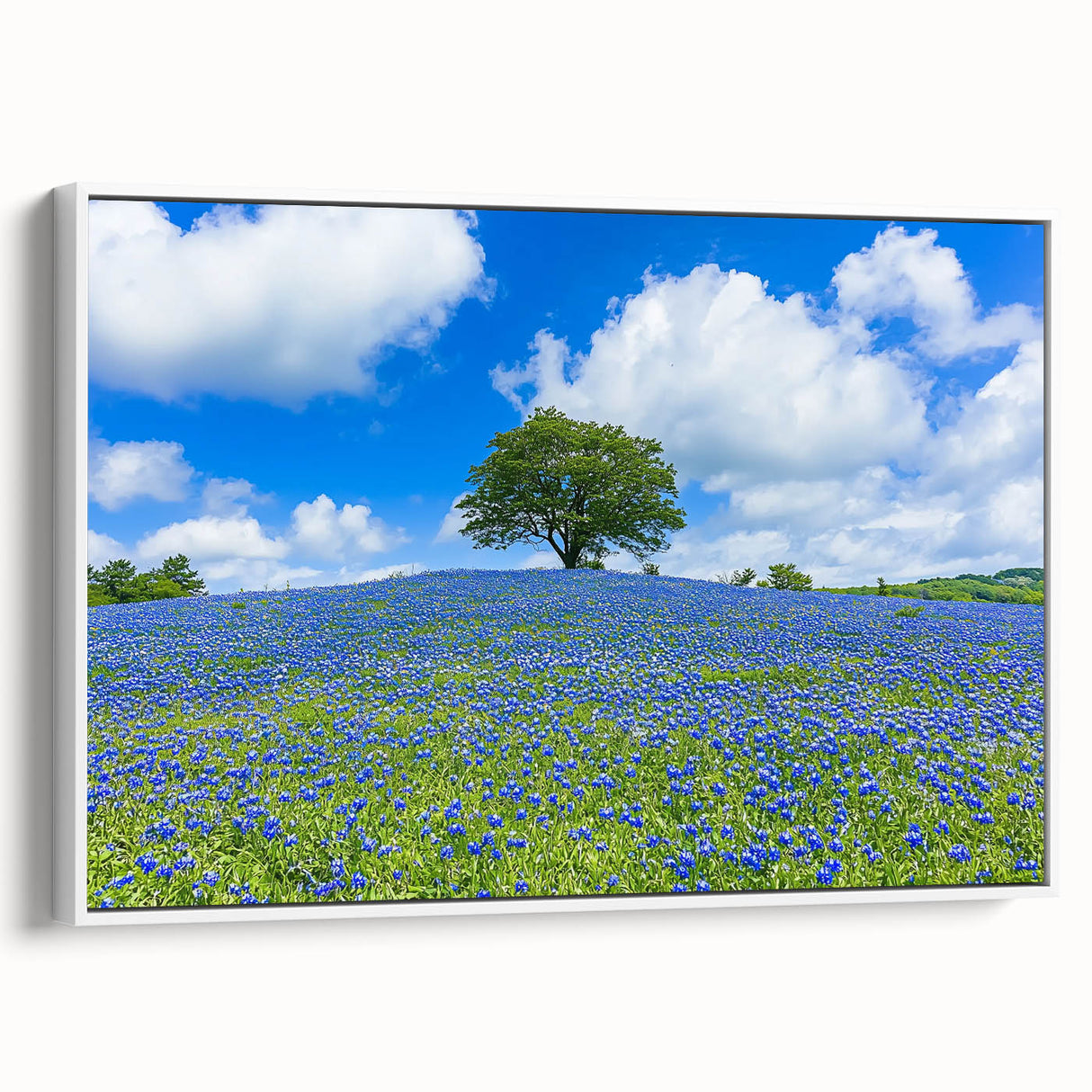 Framed canvas artwork showcasing a serene landscape scene with lush green fields and a blue sky, presented in a sleek white frame, ideal for home decor.