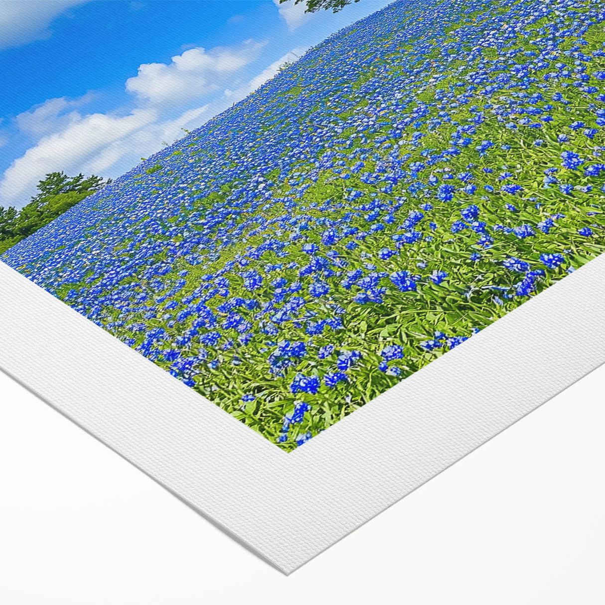 Vibrant rolled canvas showcasing a stunning landscape design with lush green fields and blue skies, elegantly packaged in a protective cardboard tube for safe shipping.