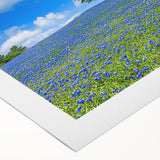 Vibrant rolled canvas showcasing a stunning landscape design with lush green fields and blue skies, elegantly packaged in a protective cardboard tube for safe shipping.