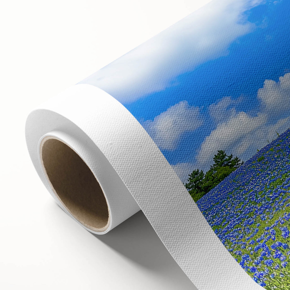 Vibrant rolled canvas print showcasing a serene landscape with lush green fields under a clear blue sky, elegantly packaged in a protective cardboard tube for safe transport.