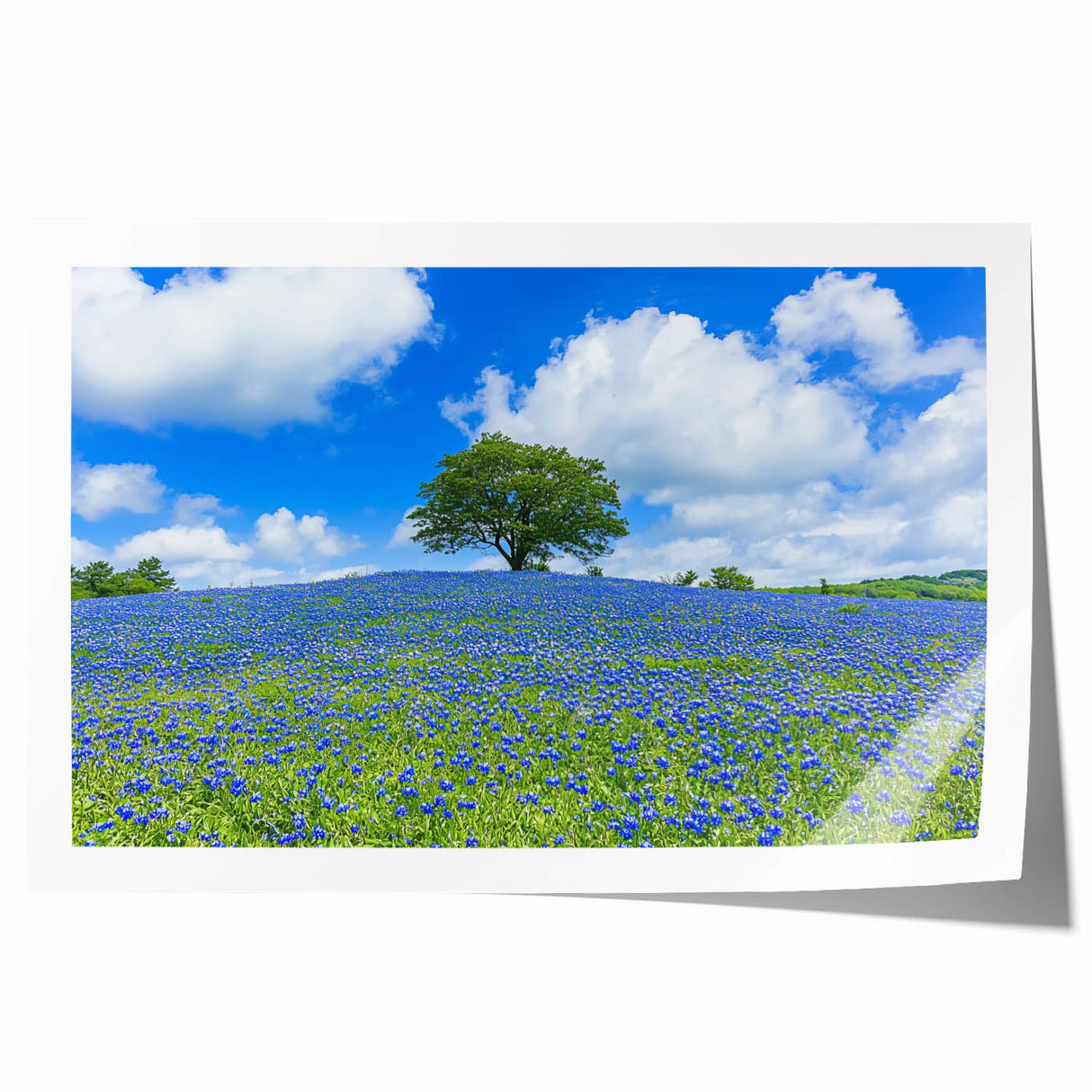 Vibrant landscape print featuring rolling green fields and a serene sky, rolled and securely packaged in a protective tube for easy storage and transport.