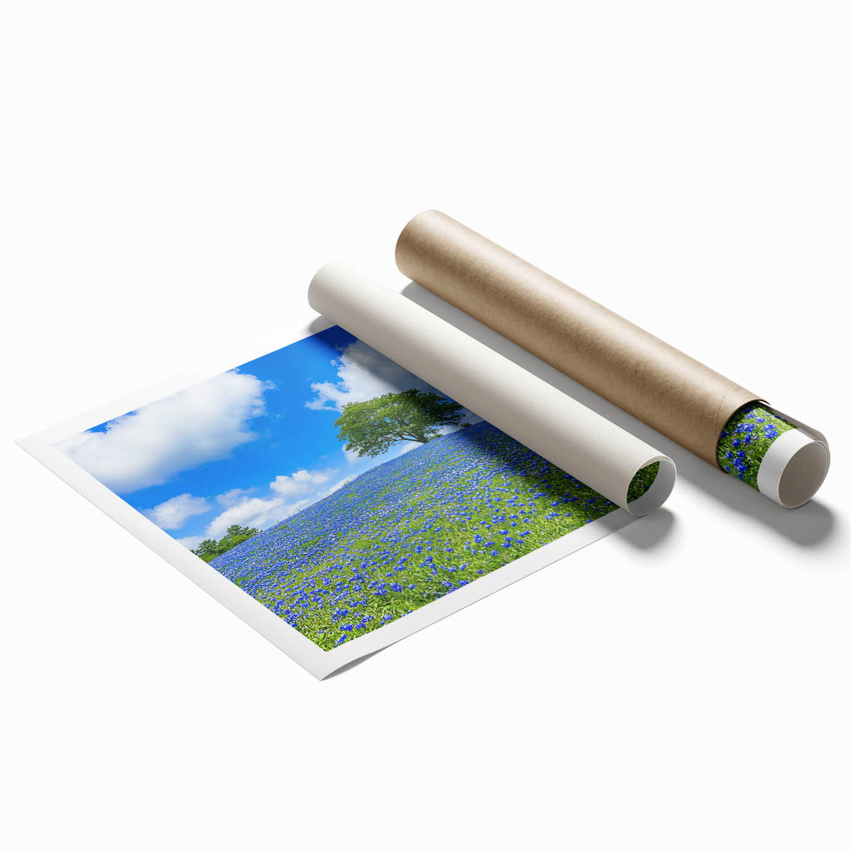 Vibrant landscape print featuring lush green fields under a bright blue sky, rolled and securely packaged in a protective cardboard tube for easy transport.