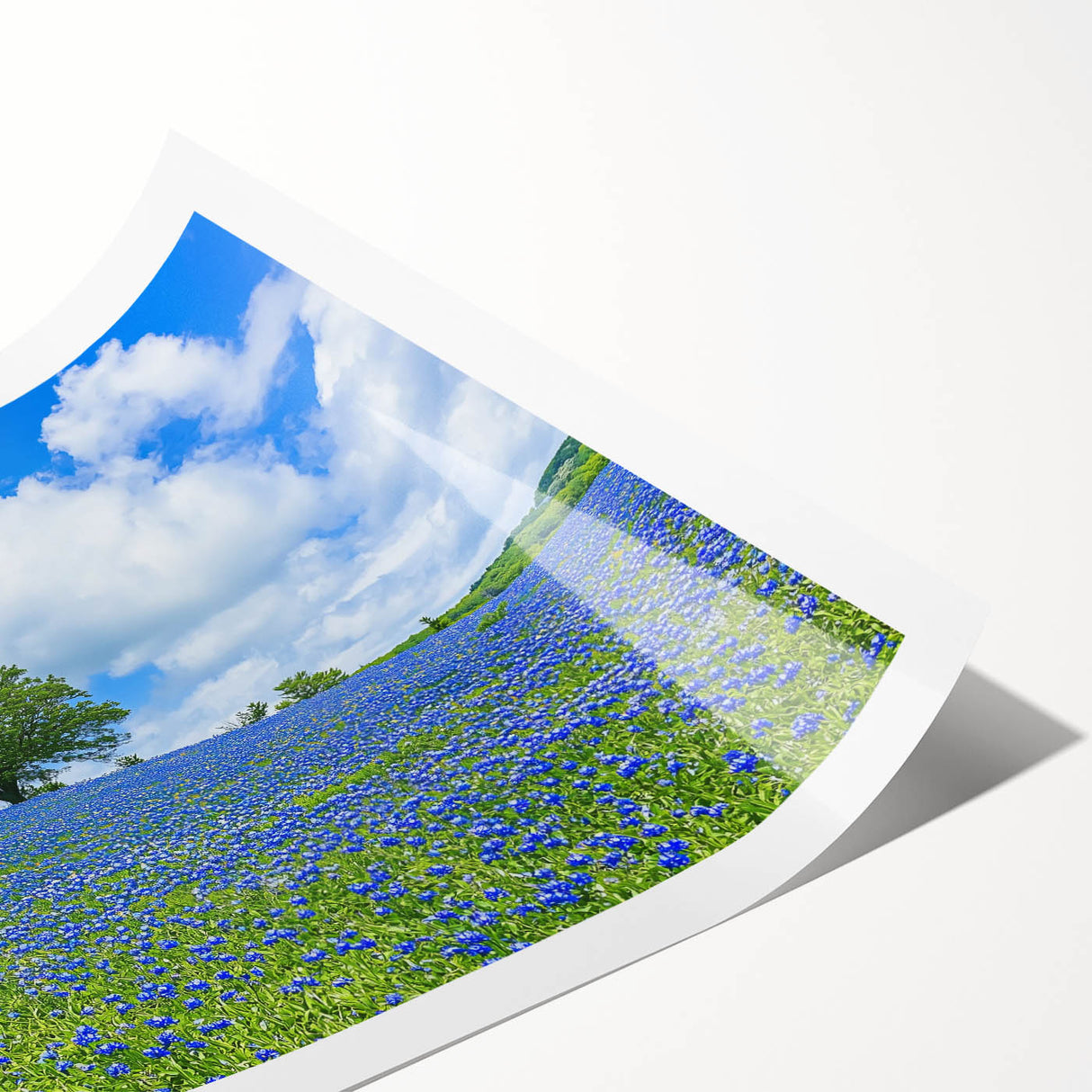Vibrant rolled print of a serene landscape featuring lush green fields under a clear blue sky, elegantly packaged in a protective cardboard tube for easy transport.