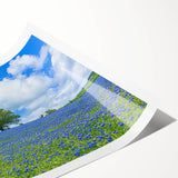Vibrant rolled print of a serene landscape featuring lush green fields under a clear blue sky, elegantly packaged in a protective cardboard tube for easy transport.