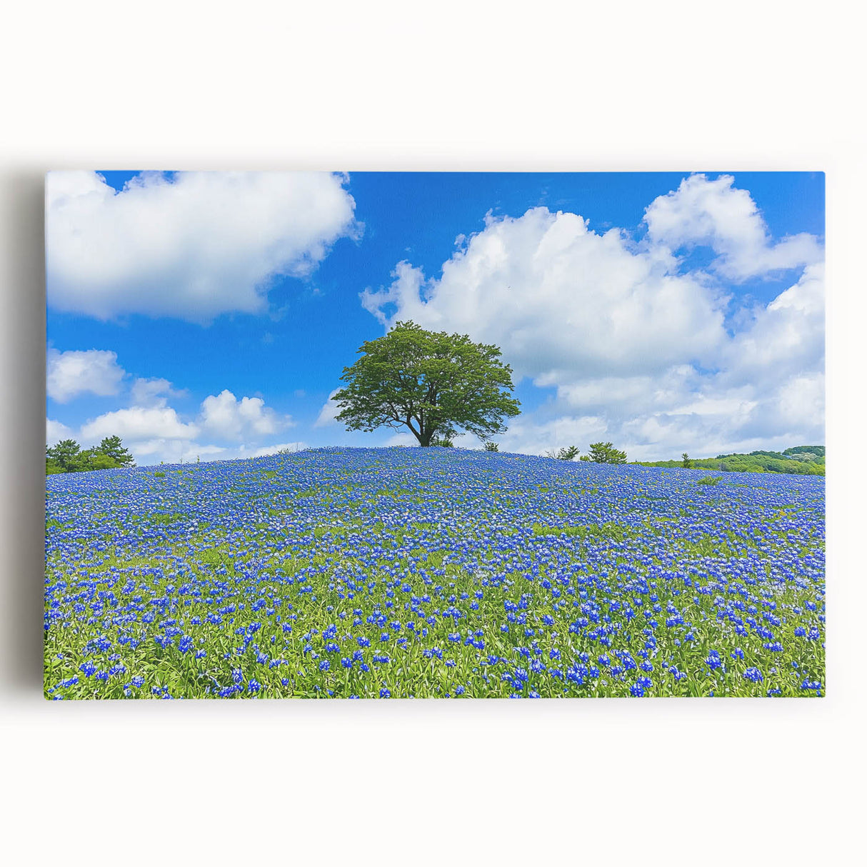 Vibrant stretched canvas artwork depicting a serene landscape of rolling fields under a clear blue sky, ideal for enhancing modern home decor.