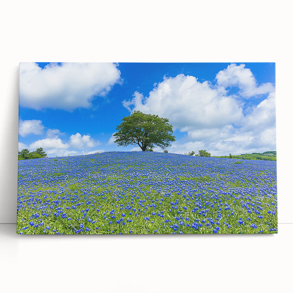 Stretched canvas artwork depicting vibrant green fields under a blue sky, showcasing serene landscapes and natural beauty, perfect for home decoration.
