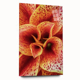 Large abstract floral print in vibrant red and orange tones on acrylic glass, suitable for bedroom or dining room decor.