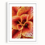 Abstract art print of vibrant floral patterns on a white framed canvas, suitable for dining room or bedroom.