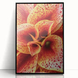 Large abstract wall art featuring floral close-ups in vibrant colors on a black acrylic framed print.
