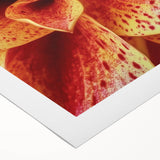 Art deco poster featuring a close-up floral design in vibrant colors on rolled canvas, suitable for dining room decor.