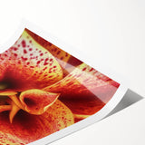 Extra large wall art featuring line art flowers in black on a white background, ideal for large living room decor.