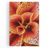 Black and white floral close-up on large stretched canvas, suitable for kitchen wall art.