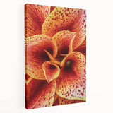 Close-up floral image in soft pink and white hues on a large stretched canvas, ideal for kitchen wall art.