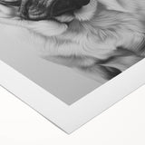 Pug Bathroom Wall Art - Modern Black and White Bathroom Decor