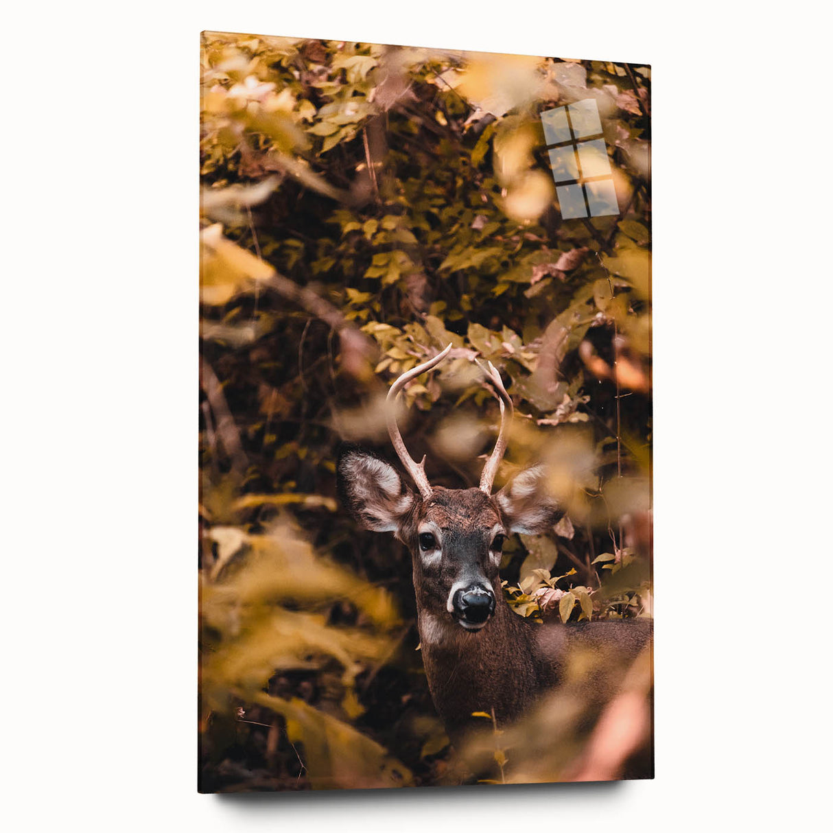 Large abstract wall art depicting the fall season in muted orange and brown tones on acrylic glass.