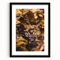 Extra large abstract art print of swirling autumn hues on textured canvas, framed in black, ideal for living room decor.