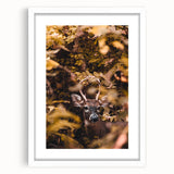 Abstract art print of fall trees in muted orange and brown hues, framed in white, ideal for dining room decor.