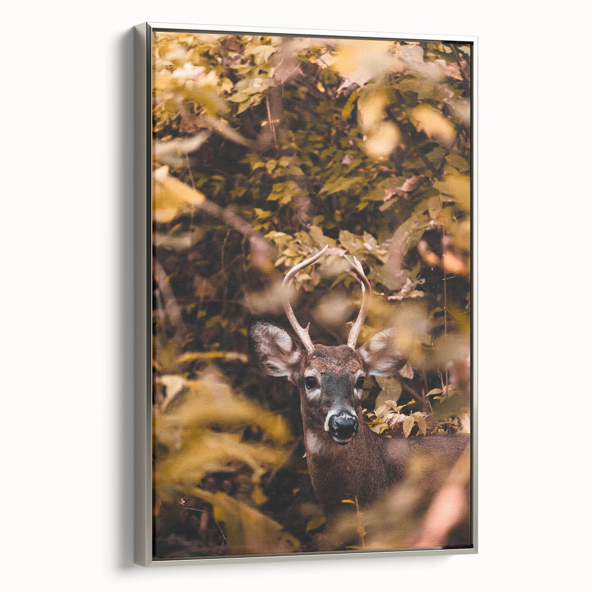 Framed canvas depicting a vintage-inspired landscape with colorful autumn trees and a black background.