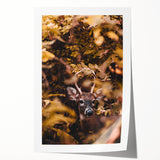 Rolled canvas print of autumnal floral art in earthy tones, ideal for art wall dining room or classy bathroom decor.