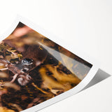 Extra large wall art featuring line art flowers in muted autumn tones on a rolled print.