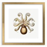 Modern Wall Art - Intricate Vintage Octopus Marine Life Illustration