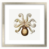 Modern Wall Art - Intricate Vintage Octopus Marine Life Illustration