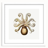 Modern Wall Art - Intricate Vintage Octopus Marine Life Illustration