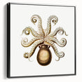 Modern Wall Art - Intricate Vintage Octopus Marine Life Illustration