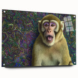 Acrylic glass display of colorful animal designs, showcasing vibrant wildlife art with detailed textures, mounted with pins for a modern presentation. Perfect for decorating any nature-themed space or gallery.