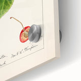 Large acrylic print featuring an abstract fruit design in vibrant colors, ideal for dining room art.