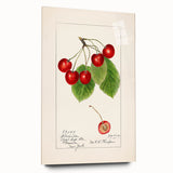 Large abstract wall art featuring vivid fruit images on acrylic glass, suitable for bedroom or dining room decor.