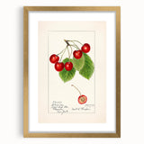 Extra large abstract art print featuring textured fruits in vibrant colors, framed in gold, ideal for living room decor.